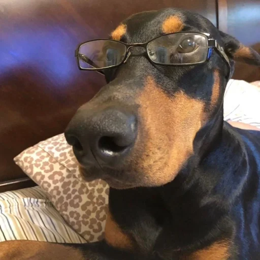 Эмодзи Доберман