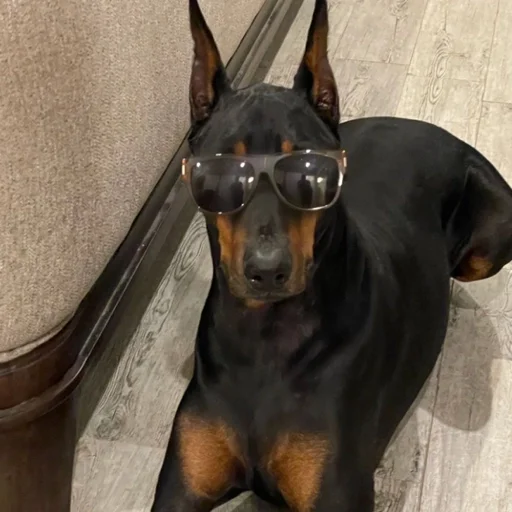 Эмодзи Доберман