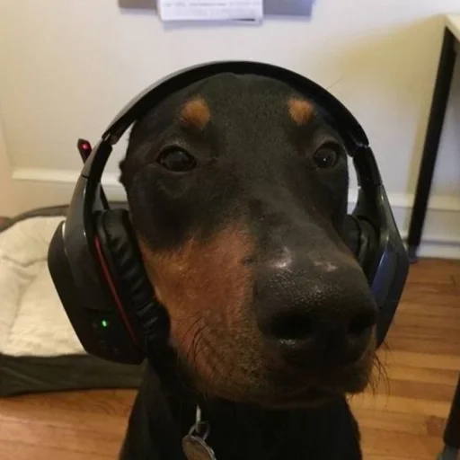 Эмодзи Доберман