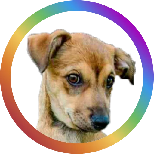 Эмодзи Dog Faces
