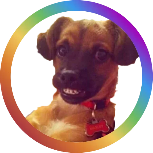 Эмодзи Dog Faces