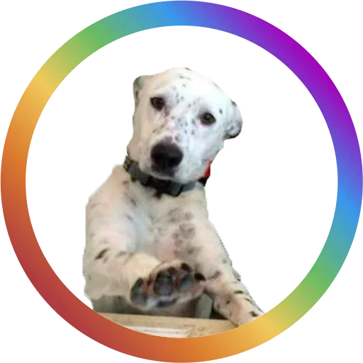 Эмодзи Dog Faces