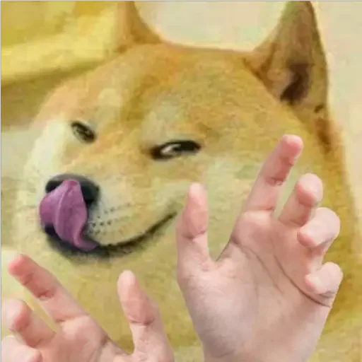 Эмодзи Doge(Ⲁⲡⲁⲛⲟⲅⲃ)