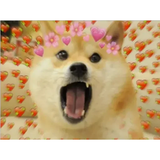 Эмодзи Doge(Ⲁⲡⲁⲛⲟⲅⲃ)