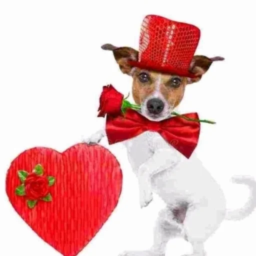 🐶