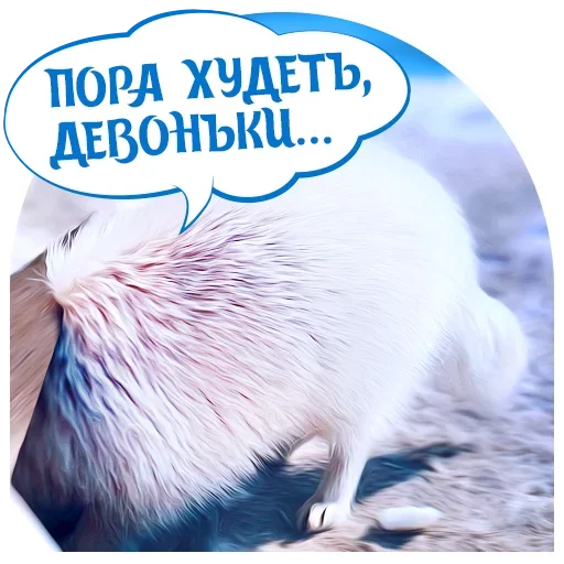 Эмодзи Dogs