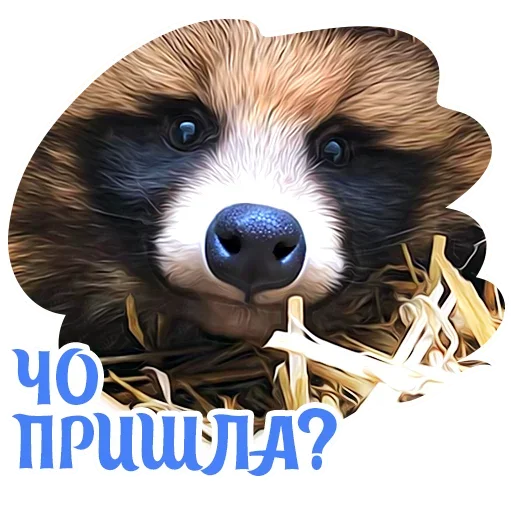 Эмодзи Dogs