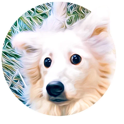 Эмодзи Dogs