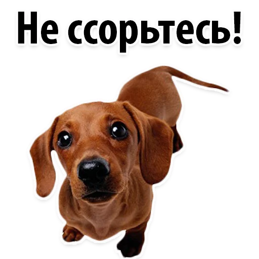 Эмодзи ?Собачий Слэнг
