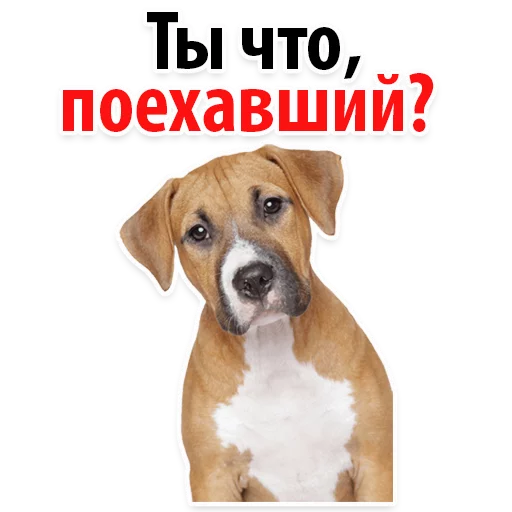 Эмодзи ?Собачий Слэнг