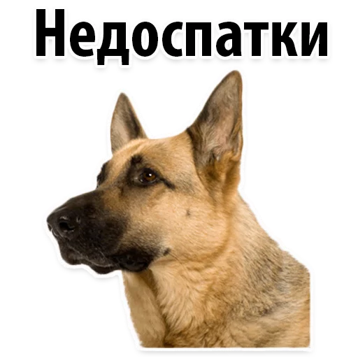 Эмодзи ?Собачий Слэнг