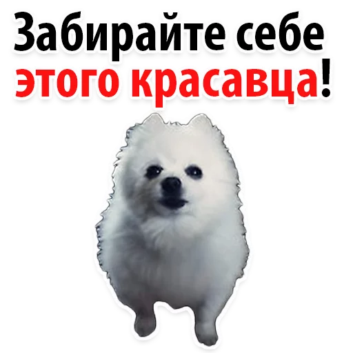 Эмодзи ?Собачий Слэнг