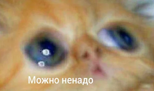 Эмодзи Кот