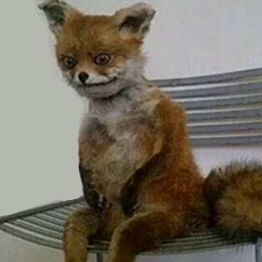 Эмодзи Donya’s mood as fuck