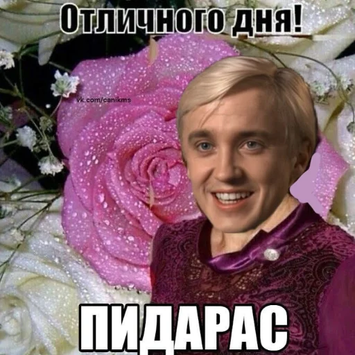 Эмодзи Draco Malfoy