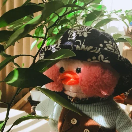 Эмодзи Ducky Dolly