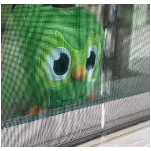 Эмодзи Duolingo