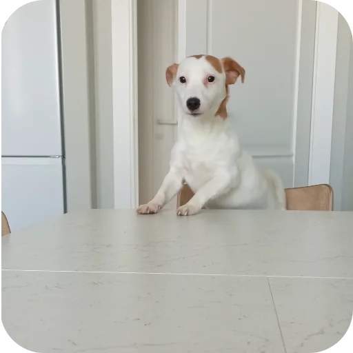 Эмодзи Джерри