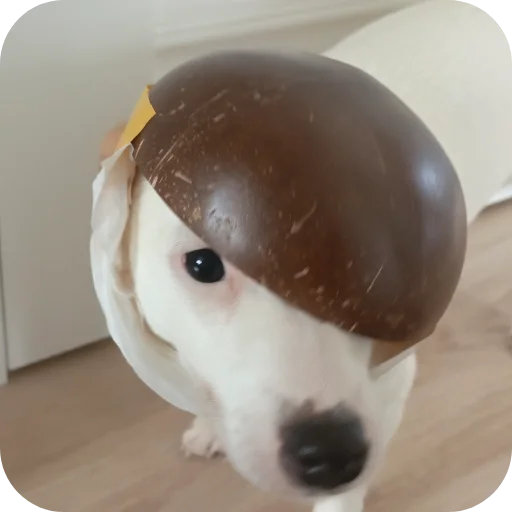 Эмодзи Джерри