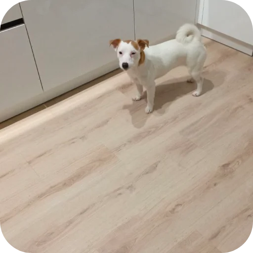 Эмодзи Джерри