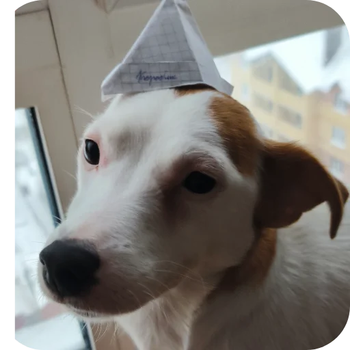 Эмодзи Джерри