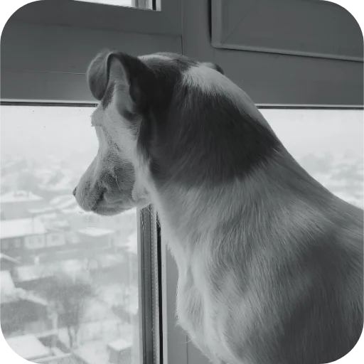 Эмодзи Джерри