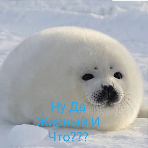 Эмодзи Джоджо топ