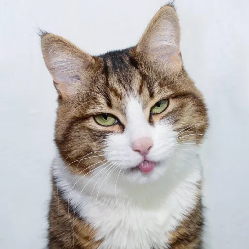 😐