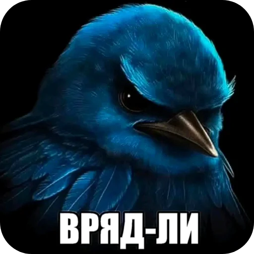 Эмодзи Birds Memes