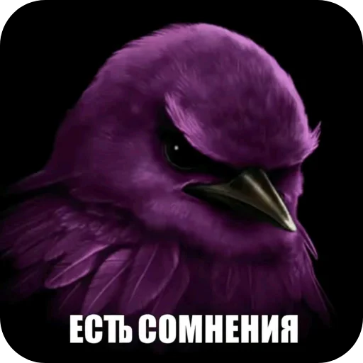 Эмодзи Birds Memes
