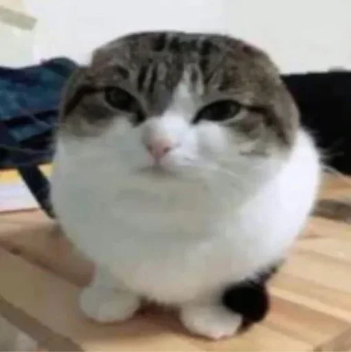Эмодзи Ебло