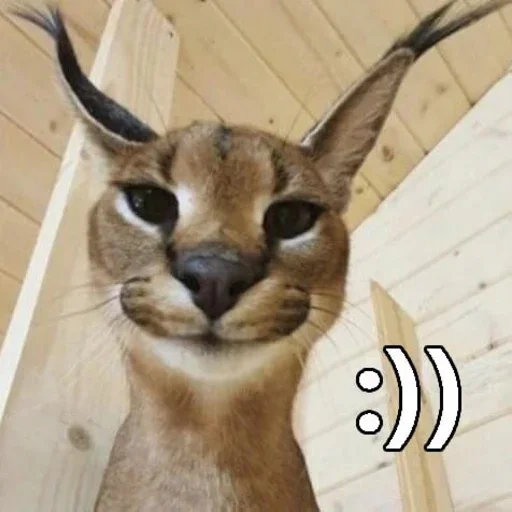 Эмодзи Ебло