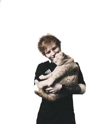 Эмодзи Ed Sheeran | Эд Ширан