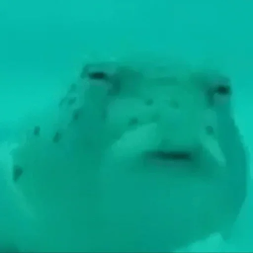 Эмодзи i_love_akame