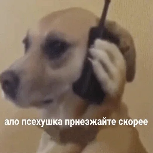 Эмодзи i_love_akame