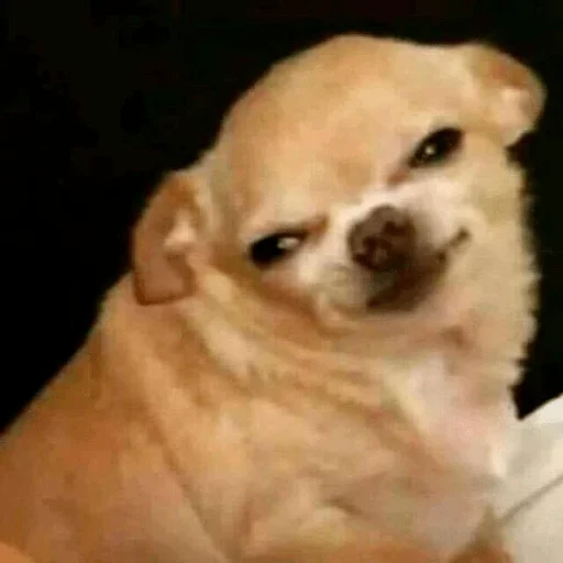 Эмодзи i_love_akame