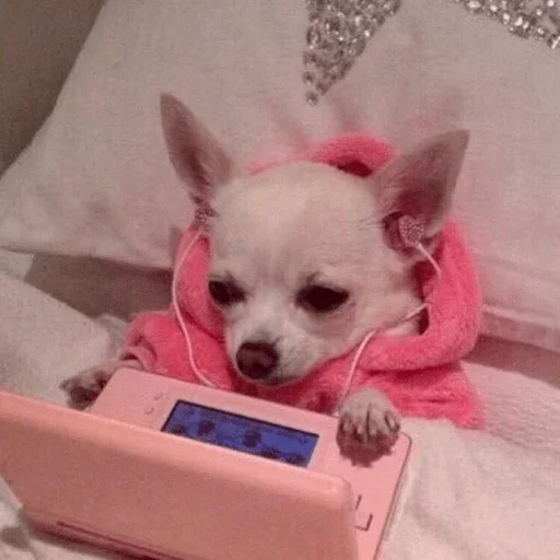 Эмодзи i_love_akame