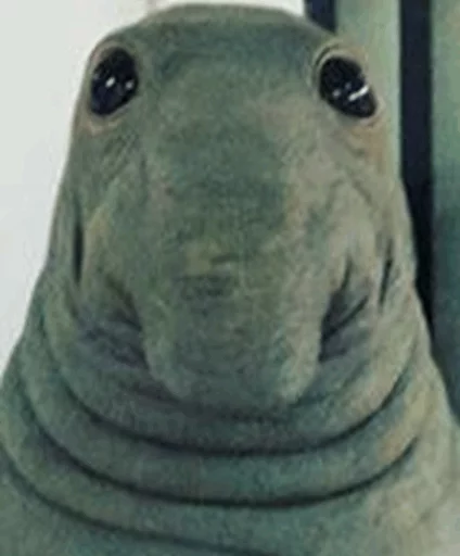Эмодзи Elephant seal