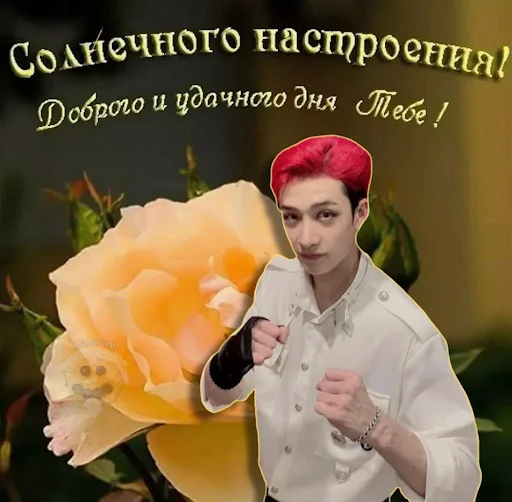 Эмодзи Энхайпен энд стрей кидс ворлд доминейшн
