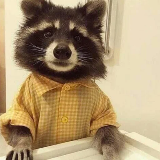 Эмодзи Енотики