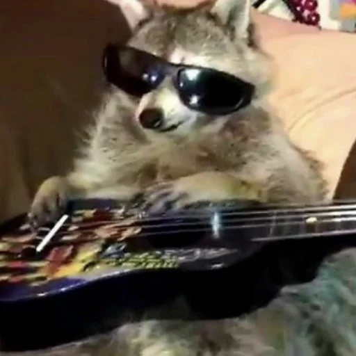 Эмодзи Енотики