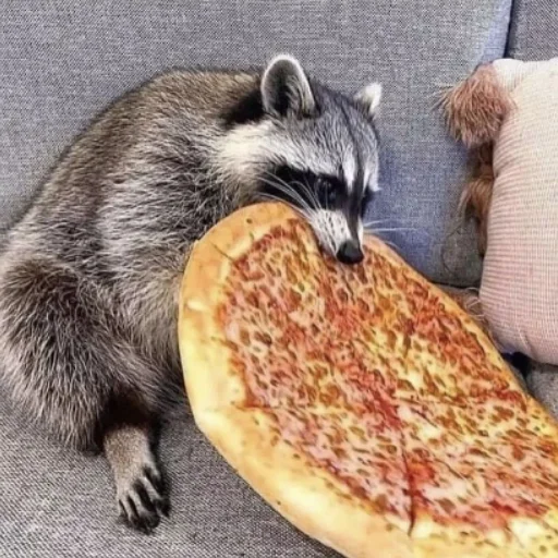 Эмодзи Енотики