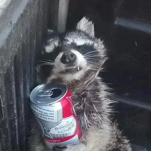 Эмодзи Еноты