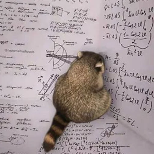 Эмодзи Еноты