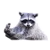 Эмодзи Raccoon