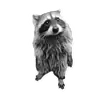 Эмодзи Raccoon