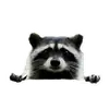 Эмодзи Raccoon