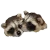 Эмодзи Raccoon