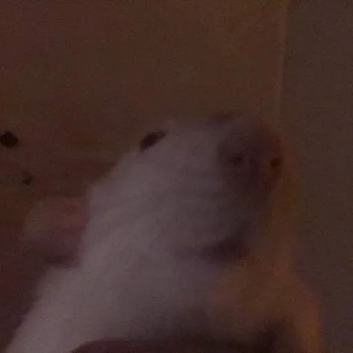 Эмодзи Epic rat