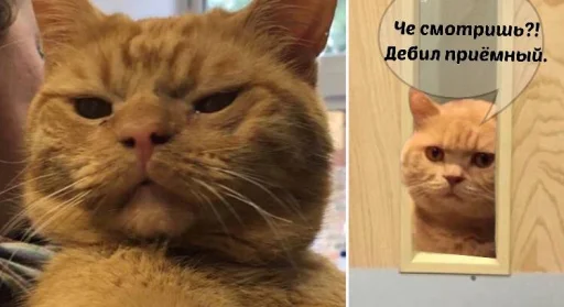 Эмодзи зикара